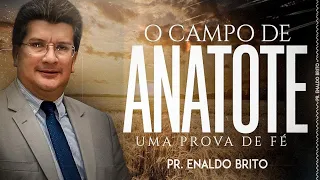 O campo de Anatote.Jr.32.8