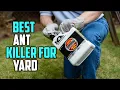Best Ant Killer for Yard Top 5 Reviews - Liquid Ant Killer for Yard 2023