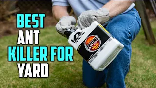 Best Ant Killer for Yard Top 5 Reviews - Liquid Ant Killer for Yard 2023