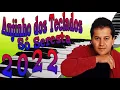Download Lagu ANJINHO DOS TECLADOS SERESTA 2022