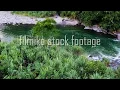 Jungle 2 - Stock Footage