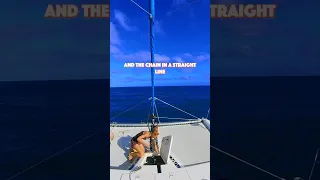 ANCHORING our sailboat (with 2 engines) ⚓️ #catamaran #youtubehighfive