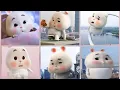 Tik tok compilation Super Cute Fat Rabbit | Si embul kelinci lucu bikin ngakak Ep.5