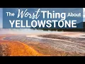 The Worst Thing About Yellowstone National Park and how to avoid it