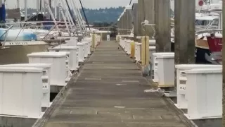 Our dock is rolling!