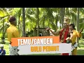 Download Lagu Temu ft Ganden - Gulu Pedhot (Official Music Video)