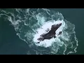 1 Hour The Lonely Shepherd | Relaxing music | Calming Music | Soothing Music by MQSM