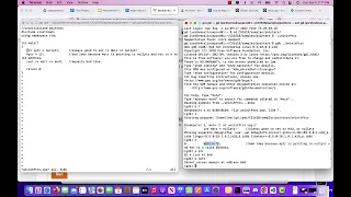 uninitialized Pointers