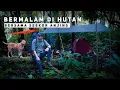 Download Lagu Solo Camping Bermalam Di Hutan Bersama Seekor Anjing