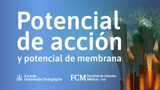Potencial de acción y potencial de membrana | Fisiología