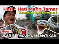 Lagu NGERI‼️MANG JAMAR BERHADAPAN DENGAN ULAR  BER4CUN \u0026 MEM4TIKAN SAAT NORMALISASI KALI WADAS