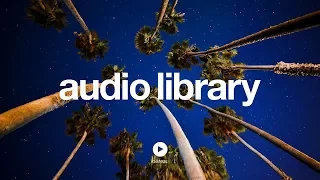Wild Flower Joakim Karud No Copyright Music 