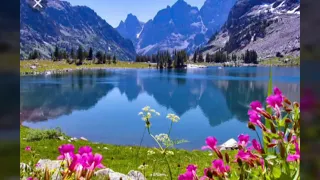 ناصر القطامي ولقد خلقنا الإنسان ونعلم ما توسوس به نفسه ونحن أقرب إليه من حبل الوريد 