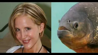 Piranha desirae spencer