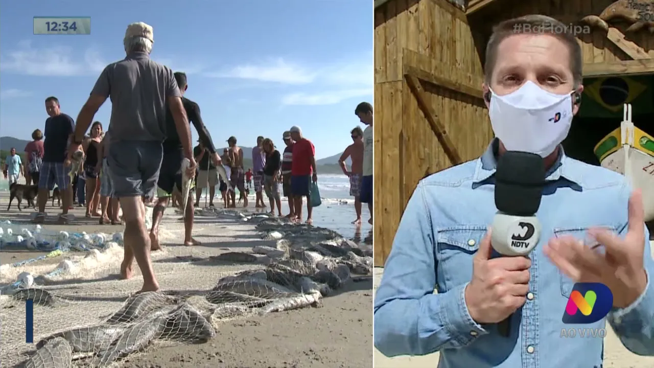 Em meio à pandemia, pesca da tainha deve respeitar também medidas sanitárias