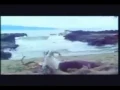 Download Lagu YouTube - Warkop DKI - Pintar Pintar Bodoh - Si Kodir.flv