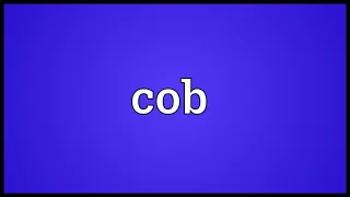COB Meaning