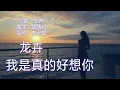 Download Lagu Wo shi zhen de hao xiang ni我是真的好想你