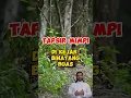 Download Lagu Bermimpi di kejar binatang buas #tafsirmimpiislam