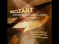 Divertimento, K. Anh. 229/439b, No. 3: I. Allegro (Arr. for Violin, Viola and Cello by Claudio...