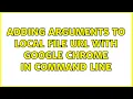 Adding Arguments to local file URL with google chrome in command line