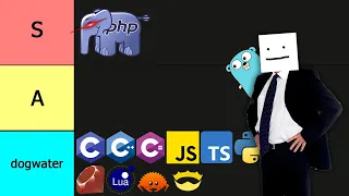 Yet Another ULTIMATE Programming Languages Tier List 2024