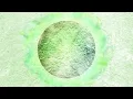 STARGLOW / Moonchaser -Official Audio-