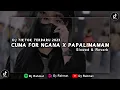 Lagu DJ CUMA FOR NGANA - MEYDA RAHMA x  PAPALIMAMAM | SLOWED \u0026 REVERB (Dj Rahmat)