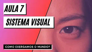 Videoaula 7 Sistema visual - COMO EXERGAMOS O MUNDO?