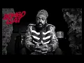Download Lagu Lutan Fyah - I Feel The Pain