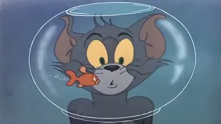Tom And Jerry توم وجيري توم يحب القطة البيضاء لاكن جيري يبعث رساله الئ القط الاسود 