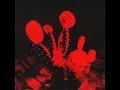 Tulips - Beach Weather