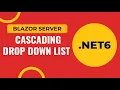Net 6 Cascading DropDown List Blazor Server EF Databse First Approach