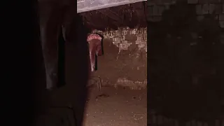 دعوتكم ياجماعه لي مانو 