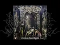 Download Lagu Morbid Sacrifice - \