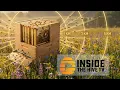 The Genius Insights of Dr Tom Seeley on Honey Bee Behavior