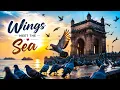 Where Wings Meet the Sea