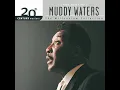 Mannish Boy (Single Version)
