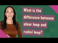 What is the difference between ulnar loop and radial loop