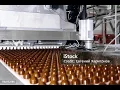Lagu How Milk Duds are made (factory tour)