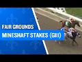 2026 250 000 Mineshaft Stakes G3 at the Fair Grounds
