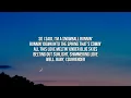 Counting Crows - Accidentally In Love [Lyrics] (From Shrek 2 Soundtrack)