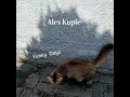 Funky Days - Alex Kuple