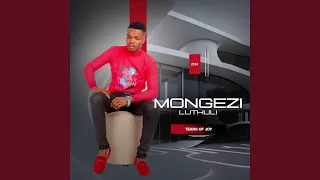 bengithi lizokuna
