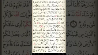 ماهر المعيقلي سورة البقرة مكتوبة صفحة 4 مصحف المدينة المنورة جودة عالية  ماهر المعيقلي سورة البقرة مكتوبة صفحة 4 مصحف المدينة المنورة جودة عالية
