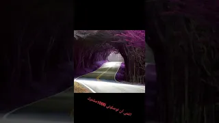 اجمل حالات واتس الشيخ ناصر القطامي 