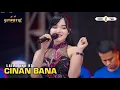Download Lagu CIINAN BANA - LAILA AYU - LIVE DUDUK SAMPEAN GRESIK FT KLK AUDIO - SIMPATIK MUSIC