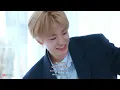 Don't Say You Love Me (IF Version & AI Cover) - NCT WISH (엔시티 위시)