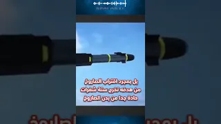 لماذا يطلق عليه اسم النينجا                       دندنها