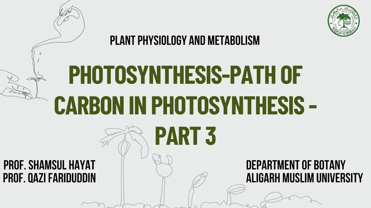 Photosynthesis-Path of Carbon in photosynthesis - part 3
